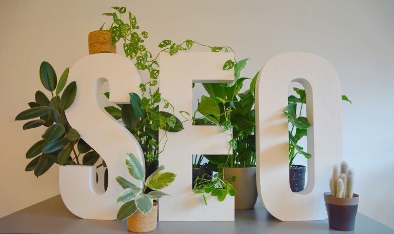 Titulo Seo Titulo SEO adornado con plantas alrededor con fondo blanco