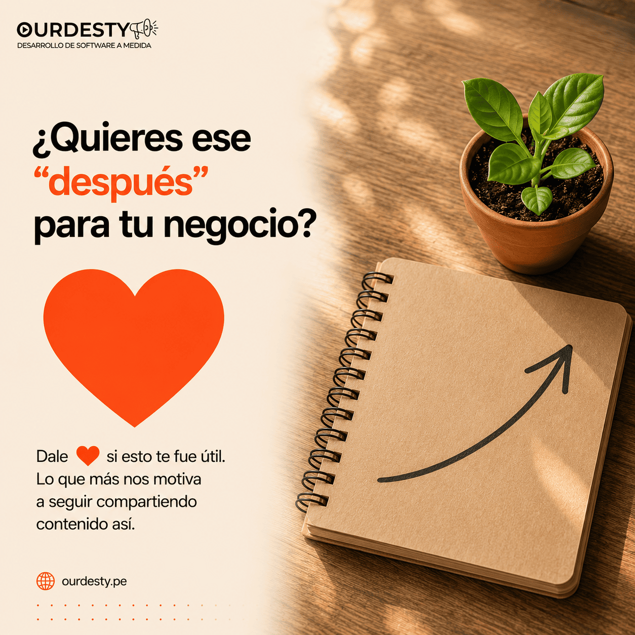 llamado al post con decoración cuadernillo con una flecha, una planta con su maseta en un ambiente fresco